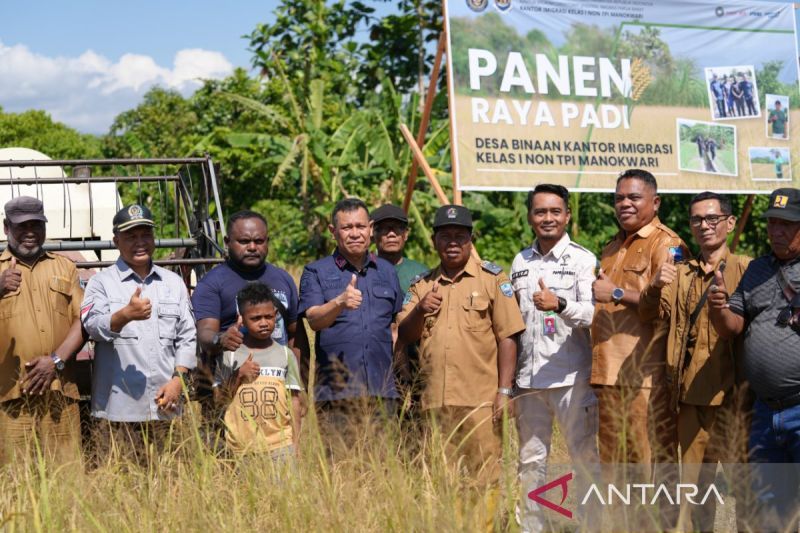 Desa binaan Imigrasi di Manokwari lakukan panen padi perdana