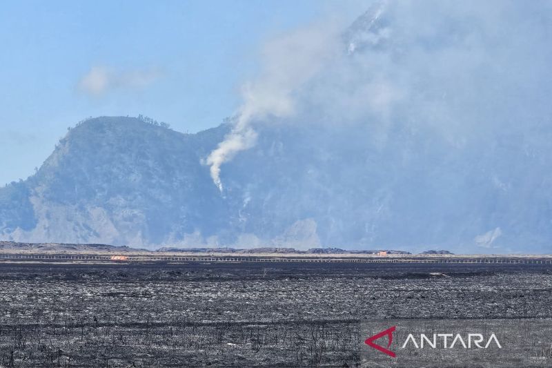 BMKG: Waspada fenomena El Nino kuat, donkrak potensi karhutla Jatim