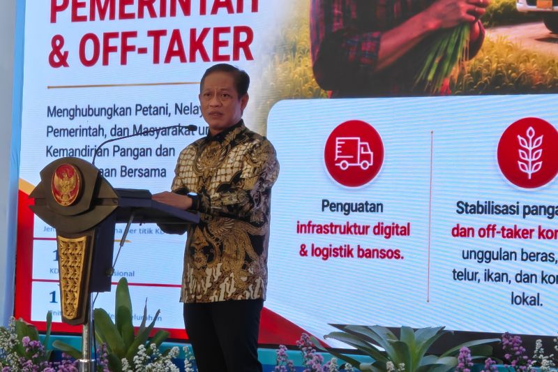 Wamenko Pangan dorong sinergi pusat-daerah percepat KDKMP