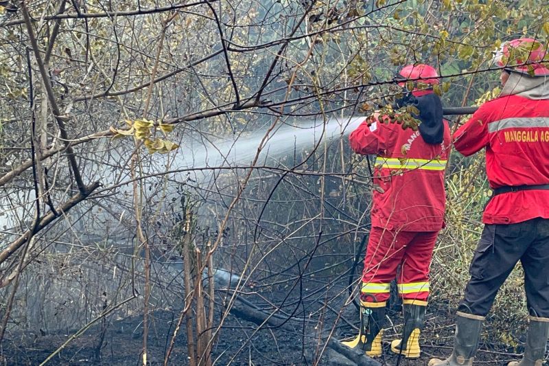 Manggala Agni tangani lima titik karhutla di Ogan Ilir