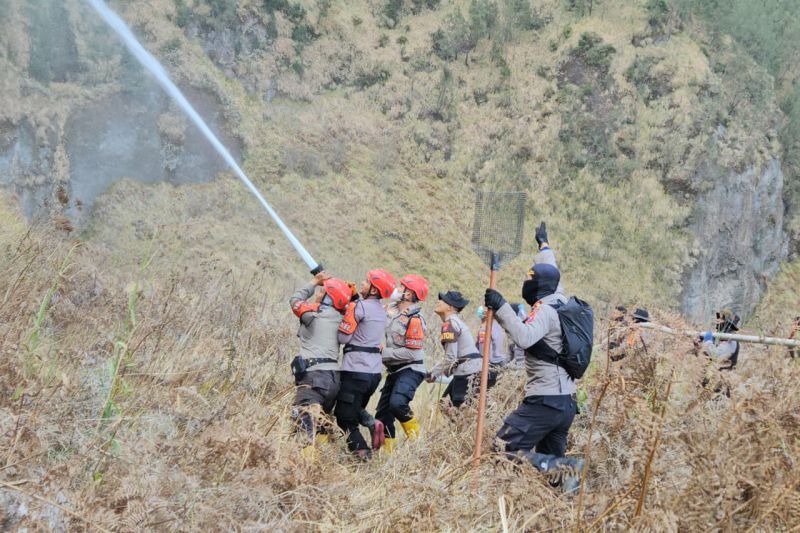 BPBD Probolinggo: Karhutla Bromo dapat dikendalikan