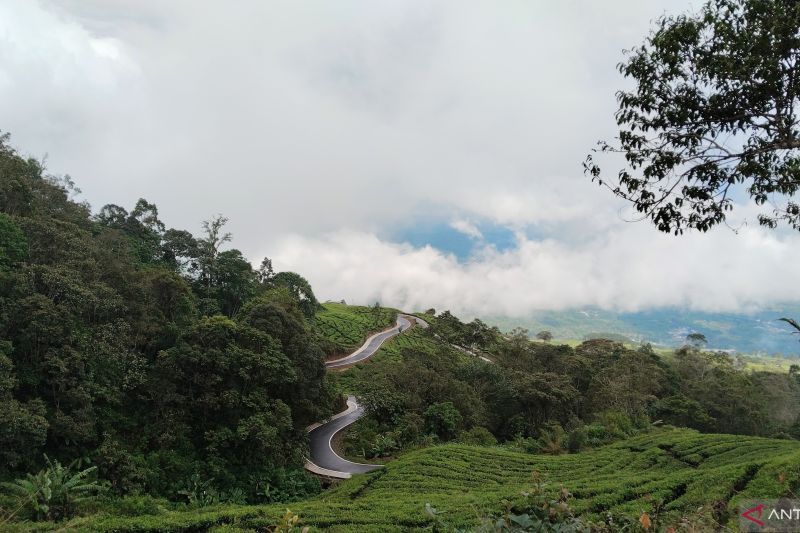 Merah Putih sepanjang 2.026 meter bakal dibentangkan di Gunung Dempo