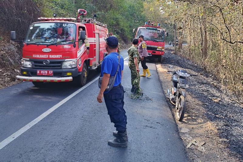 BPBD Malang: 12 hektare perkebunan jati di Gunung Geger terbakar