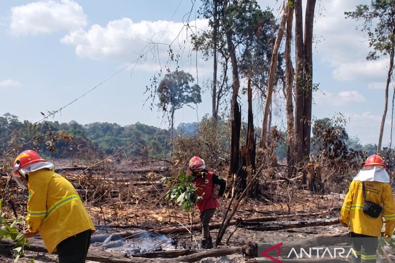Dinas Kehutanan Kaltim optimalkan posko siaga untuk antisipasi karhutla