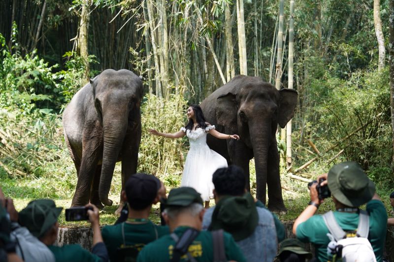 IAPVC 2026 buka kompetisi fotografi dan video satwa bagi masyarakat