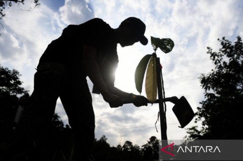 IKN catatkan rekor penanaman pohon di taman kota terbanyak