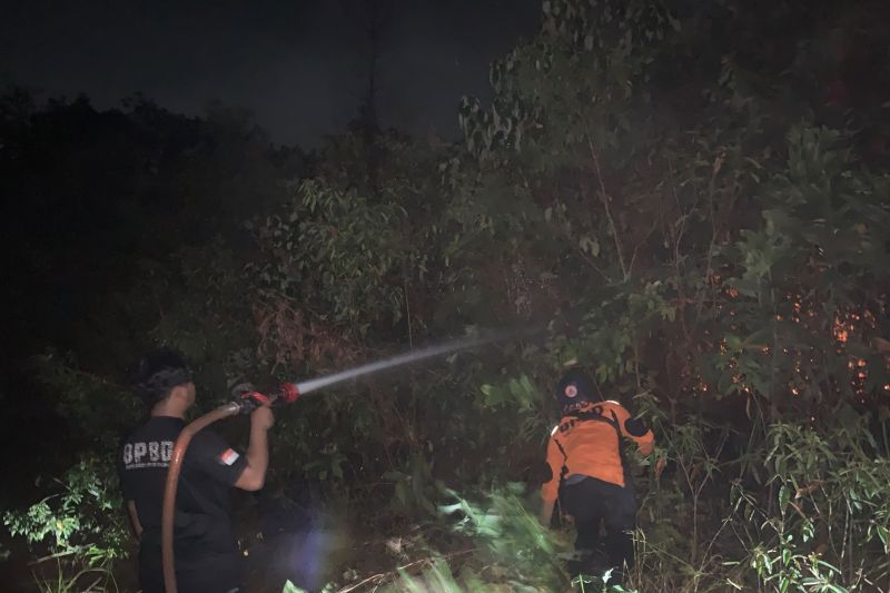 Tim Satgas Karhutla padamkan kebakaran hutan dan lahan di Muara Enim
