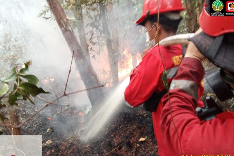 Manggala Agni Sumatera berhasil padamkan karhutla hutan lindung Bangka