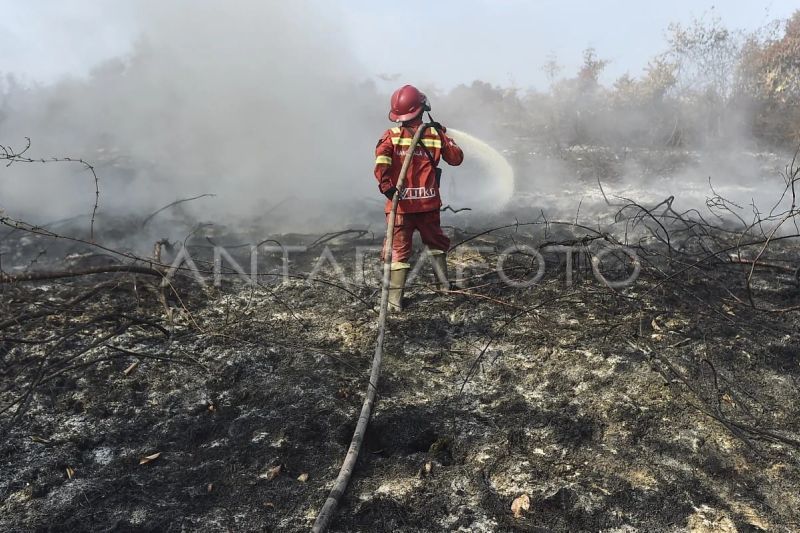 Upaya penanganan karhutla di Muaro Jambi