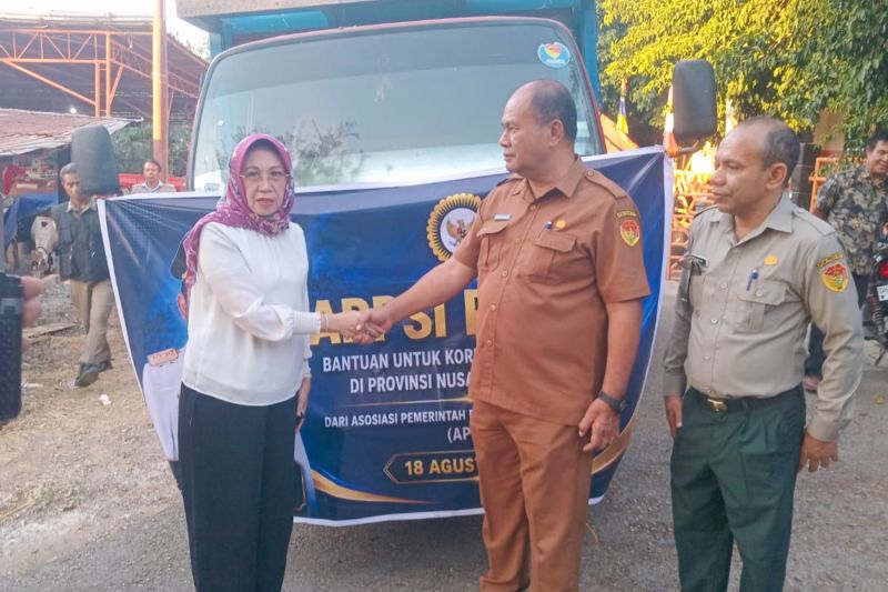 APPSI salurkan bantuan untuk warga terdampak gempa Flores