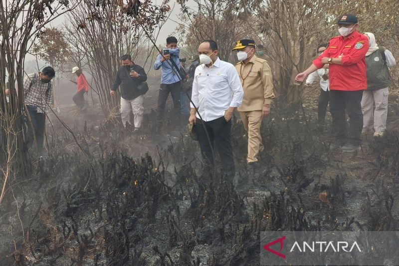 Menhut sebut OMC jadi solusi ideal penanganan karhutla di Kalteng