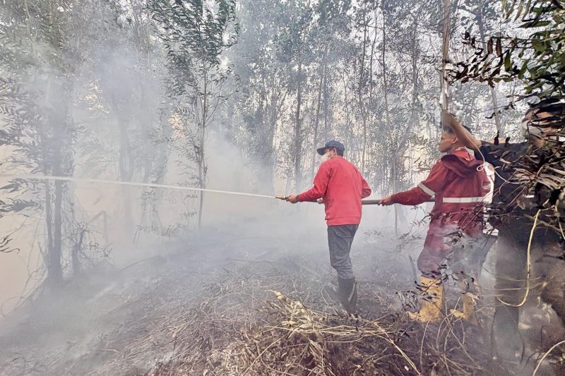 South Kalimantan Urged To Step Up Forest Fire Control ANTARA News south-kalimantan-urged-to-step-up-forest-fire-control-antara-news