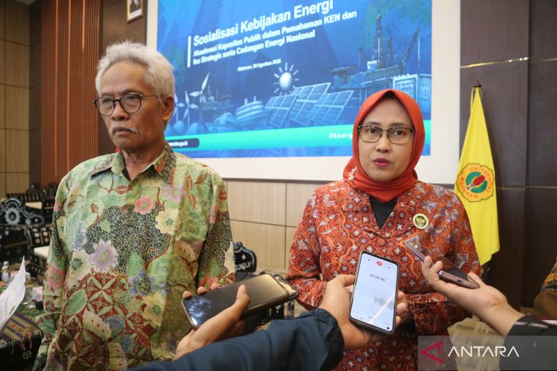 DEN sebut nuklir berpotensi jadi "kuda hitam" percepat dekarboninasi