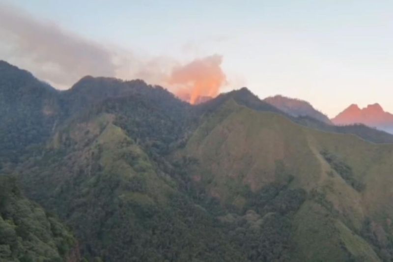 UPT Tahura Raden Soerjo masif padamkan kebakaran Gunung Arjuno