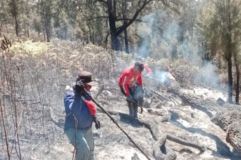BPBD Jatim siapkan "water bombing" padamkan karhutla Arjuno-Welirang