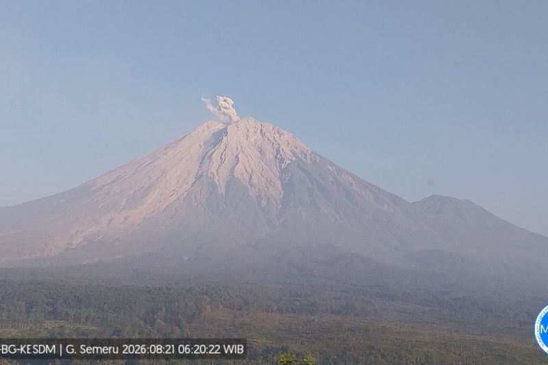 Gunung Semeru erupsi dengan tinggi letusan 800 meter di atas puncak
