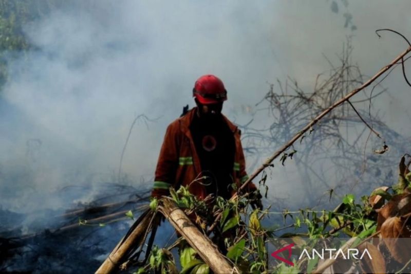 BPBD Kaltim pastikan respons cepat penanganan titik api