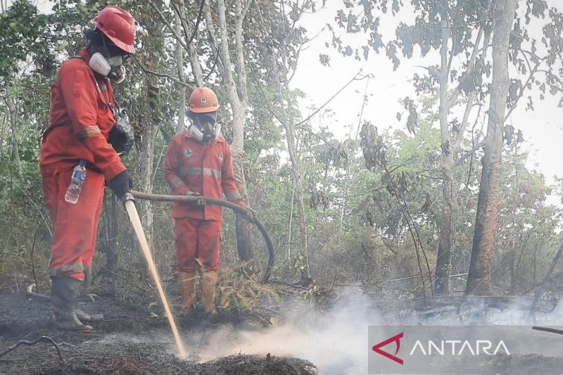 Kemarin, perubahan status guru PPPK hingga modifikasi cuaca Kalimantan