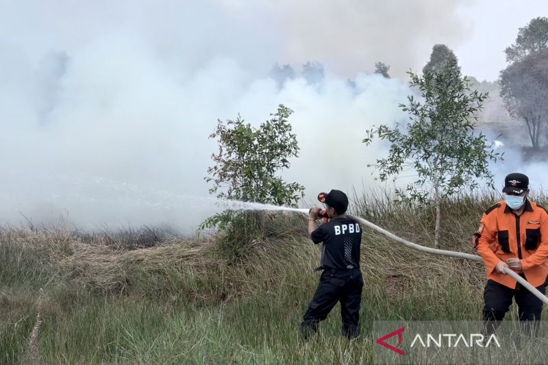 Kemenhut: Penanganan karhutla di Kalsel perlu kajian pascapemadaman