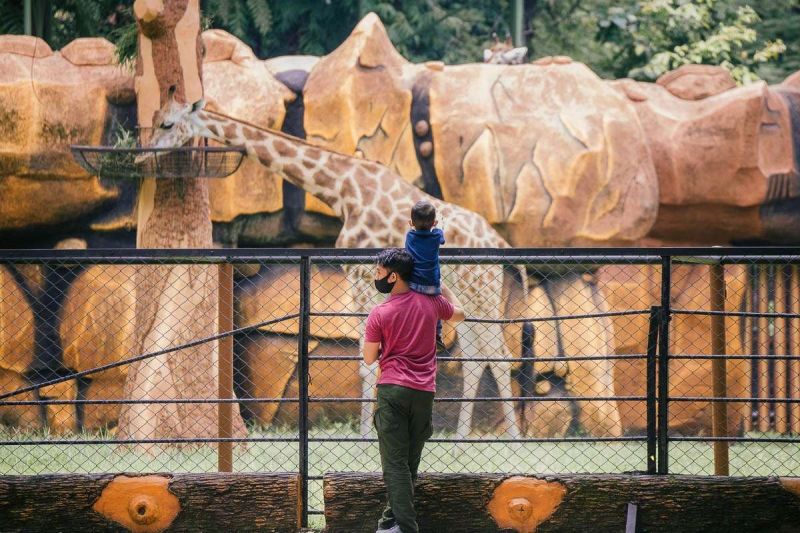 Rumah satwa dan ujian tata kelola