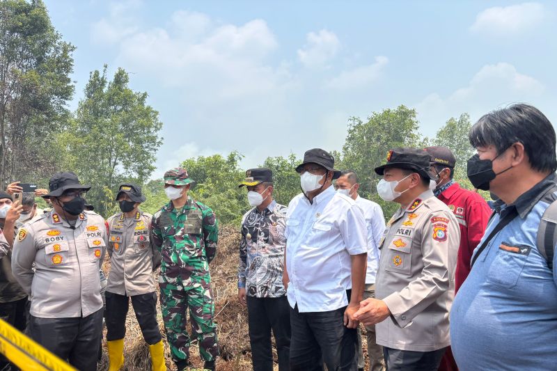 Menteri LH: 85 ribu hektare wilayah konsesi di Indonesia terbakar