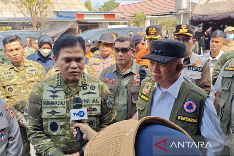 KSAL sebut karhutla di Kalsel tidak separah kabar di media sosial