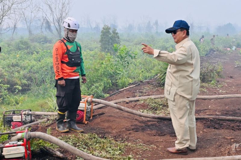 Prabowo susuri karhutla di Kubu Raya, pastikan penanganan optimal
