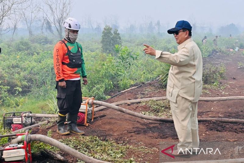 Prabowo akan tinjau penanganan karhutla Sumatera, dimulai dari Riau
