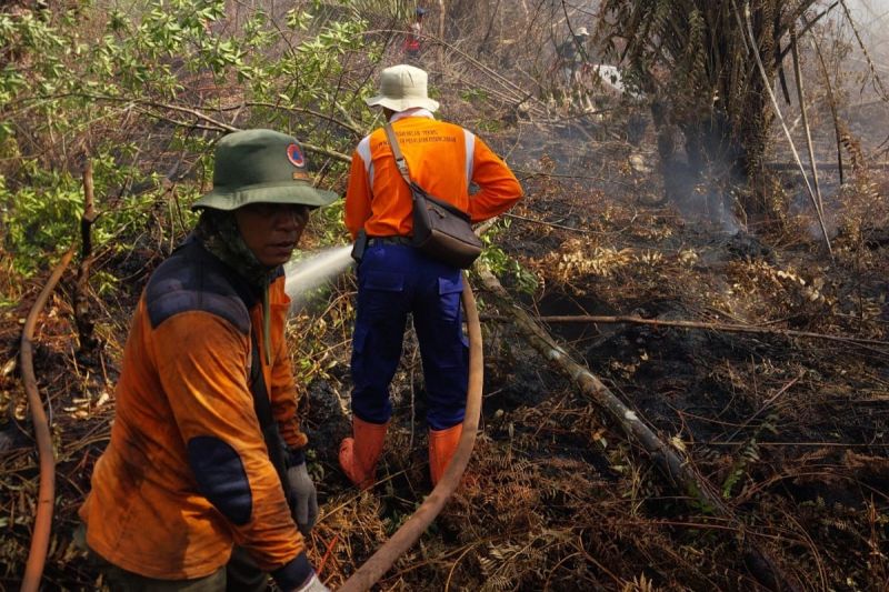 Tim gabungan tambah personel padamkan karhutla di Pelalawan Riau