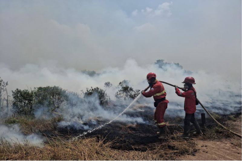 Kemenhut tambah personel, perkuat operasi udara hadapi karhutla Sumsel