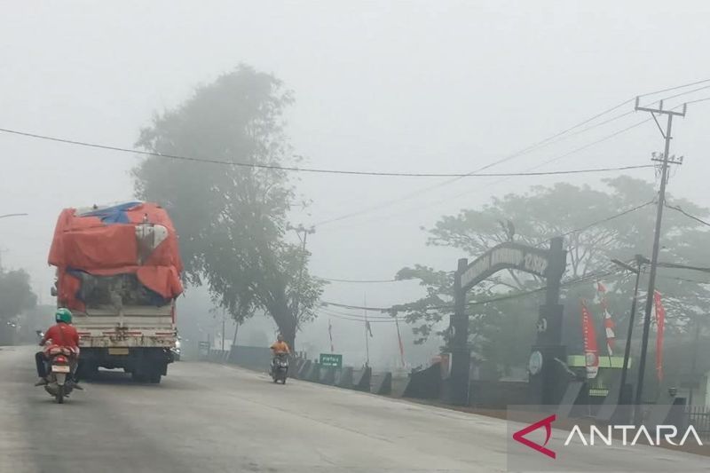 Pakar tegaskan aktivitas manusia jadi penyebab utama karhutla