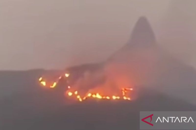 Tim gabungan padamkan karhutla 350 hektare di kaki Bukit Senubut Lahat