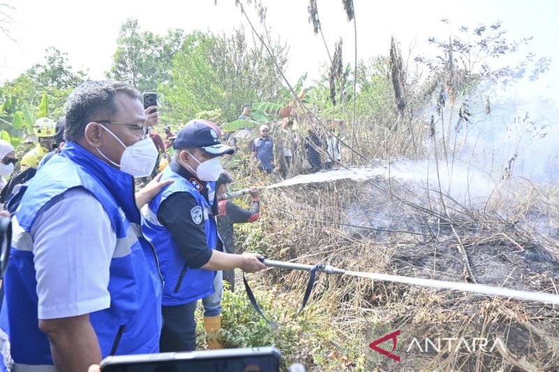 KLH selidiki 11 perusahaan terindikasi terkait karhutla di Kalsel