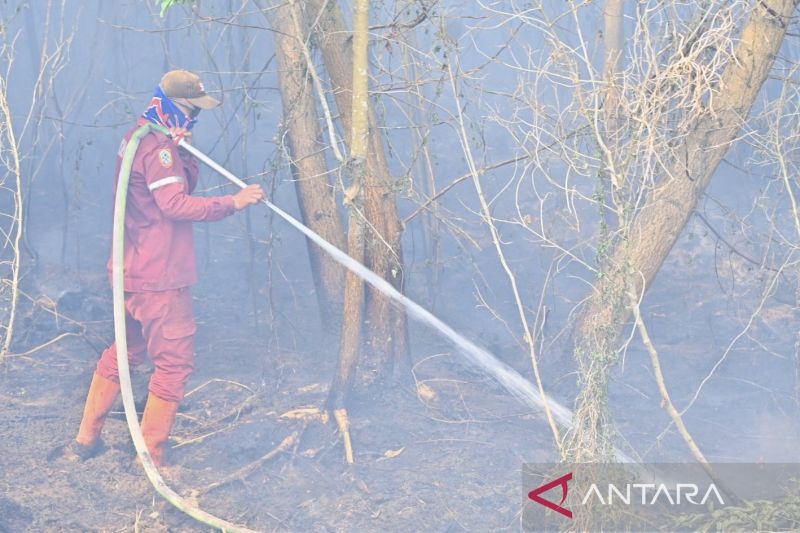Kalsel tambah tim patroli jadi 20 cegah karhutla meluas