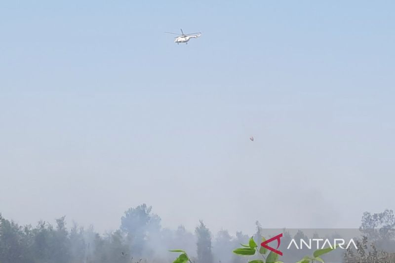 BNPB operasikan empat helikopter water bombing atasi karhutla di Kalsel