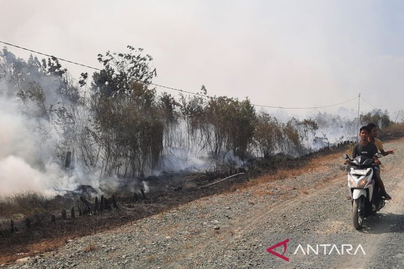 Pakar: Kabut asap pembunuh diam-diam yang merenggut nyawa