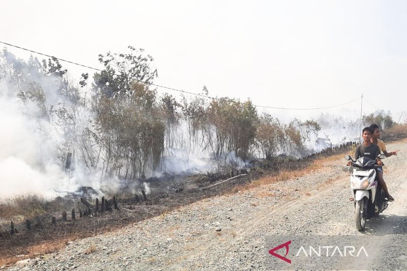 Pakar: Kabut asap pembunuh diam-diam yang merenggut nyawa