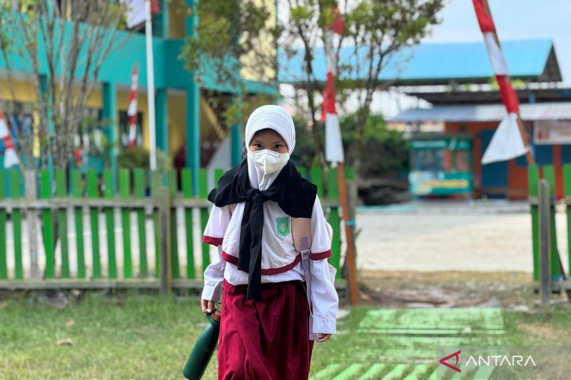 Langkah primer, sekunder, tersier cegah risiko paparan asap karhutla