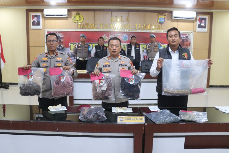 Bunuh ibu dan nenek, pria di Pasaman Barat terancam 20 tahun penjara