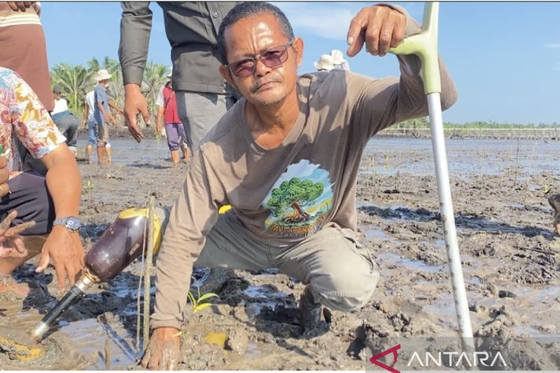 Sefri Afikar: Menanam mangrove, menebus masa lalu