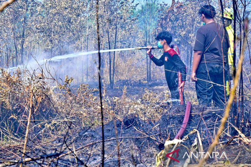 Wamenko Hanif: Intensifkan patroli guna cegah karhutla Kalsel meluas