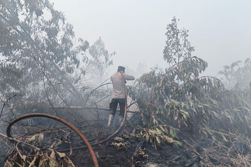 Cek fakta, Prabowo angkat Haji Isam diangkat jadi koordinator penanganan karhutla di Kalimantan
