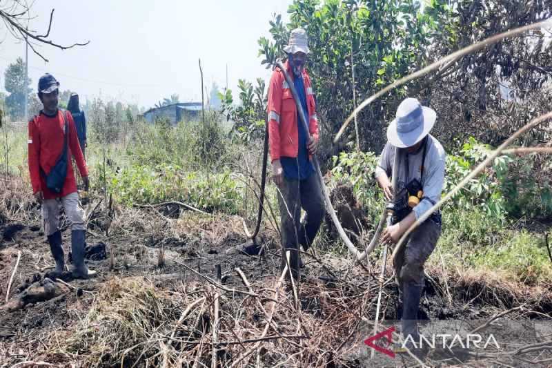 Kemenhut fokus basahi gambut di Ring 1 Bandara Syamsudin Noor Kalsel