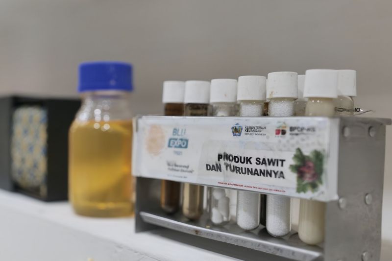Paspi: Sawit potensial penuhi 60 persen minyak nabati dunia 2050