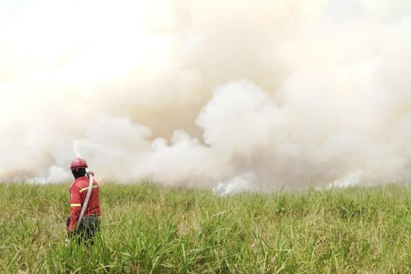 PT RHM terjunkan helikopter dan tujuh alat berat padamkan karhutla