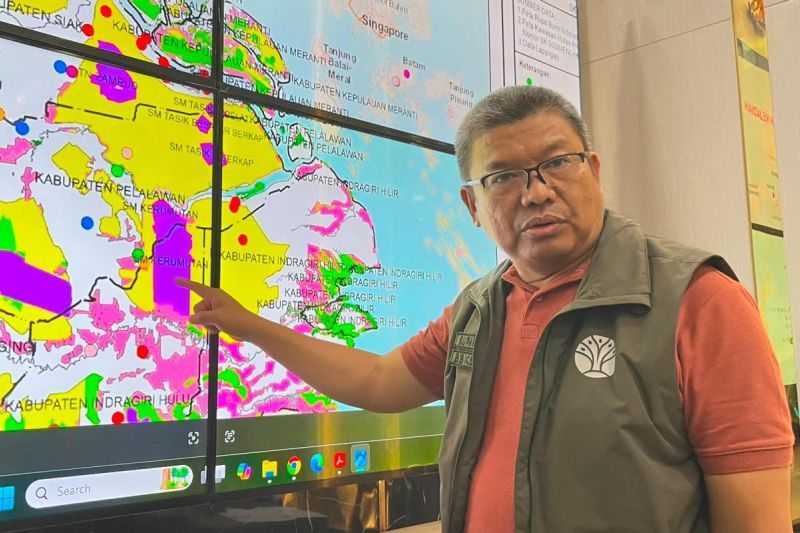 BBKSDA Riau waspadai karhutla di kantong habitat harimau sumatra