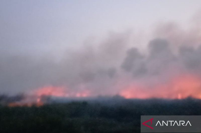 Petugas siapkan strategi pemadaman kebakaran di kawasan TNBS 