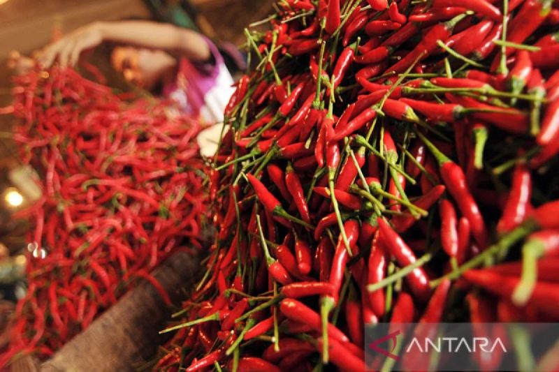PIHPS: Harga cabai rawit Rp64.100 per kg, telur ayam Rp28.800 per kg