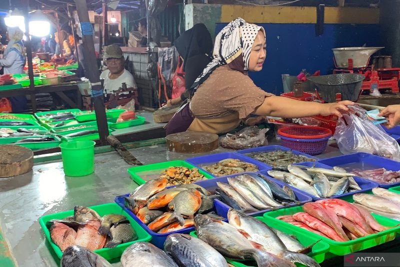 193 pedagang ikan Kramat Jati direlokasi ke Lokbin mulai pekan ini