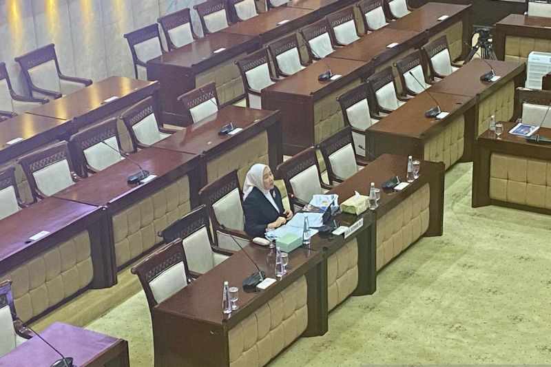 Calon DGS BI: Kebijakan moneter-fiskal bisa beda, tapi tujuan sama